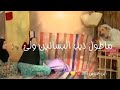 بيت الطين حالات واتس اب لضحك ورده هايمه