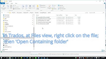 Pre-translate Trados  sdlxliff files using GT4T