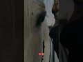 رميت سهم الحب يقصد قلبها فأصاب سهمي عينها ف اعورت رميت سهم الحب يقصد قلبها فأصاب سهمي عينها ف اعورت