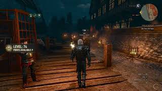 The Witcher 3 | What is a Katakan?