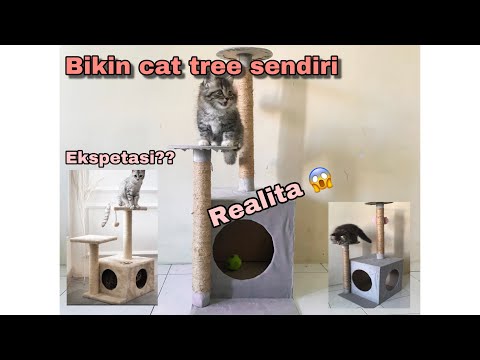 MEMBUAT CAT TREE SENDIRI DIRUMAH (CAKARAN KUCING) DIY