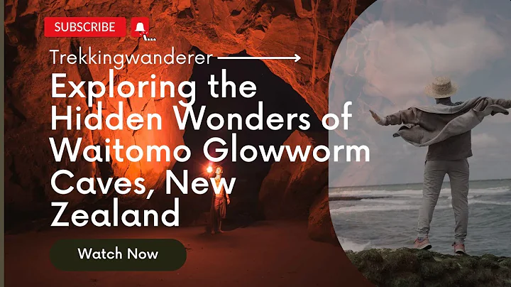 Exploring the Hidden Wonders of Waitomo Glowworm Caves, New Zealand