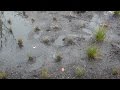 Understanding SMAP and Soil Moisture