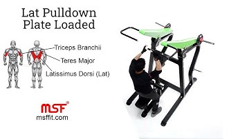 MSF Lat Pulldown ( Plate Loaded) 💪🏻