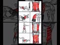 🔥 4 Best Lower Abs Exercise for a Strong Core at Home youTube short video best sixpack home workout👿