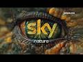 Sky Nature HD Germany Rebranded Continuity 2026 May 