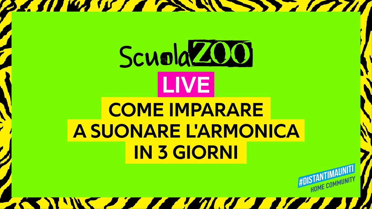 Come Si Suona L Armonica A Bocca Youtube
