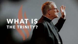 What Is the Trinity?  Bishop Barron's Sunday Sermons