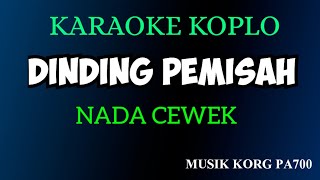 DINDING PEMISAH - KARAOKE DANGDUT KOPLO NADA CEWEK