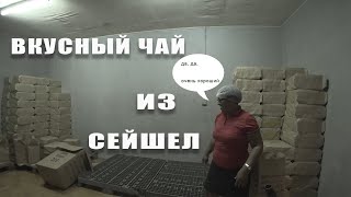 видео: Чайная фабрика на Сейшелах. Секреты производства картинка: Чайная фабрика на Сейшелах. Секреты производства