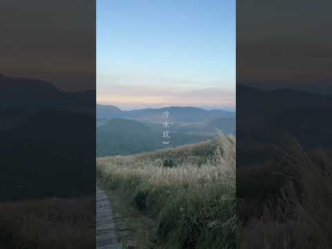 冷水坑，黃昏1小時來回，賞陽明山芒花、夕陽同框美景#山上加美 #徒步 #旅行