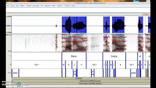 AutoVOT Praat Plugin (single file & single search)