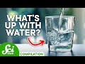 5 Burning Questions About Water | Compilation