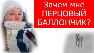 Фото Зачем мне ПЕРЦОВЫЙ БАЛЛОНЧИК\\ Средство ЗАЩИТЫ или САМООБОРОНА\\ Чем опасны СТАИ СОБАК ВЕСНОЙ\\ Собаки