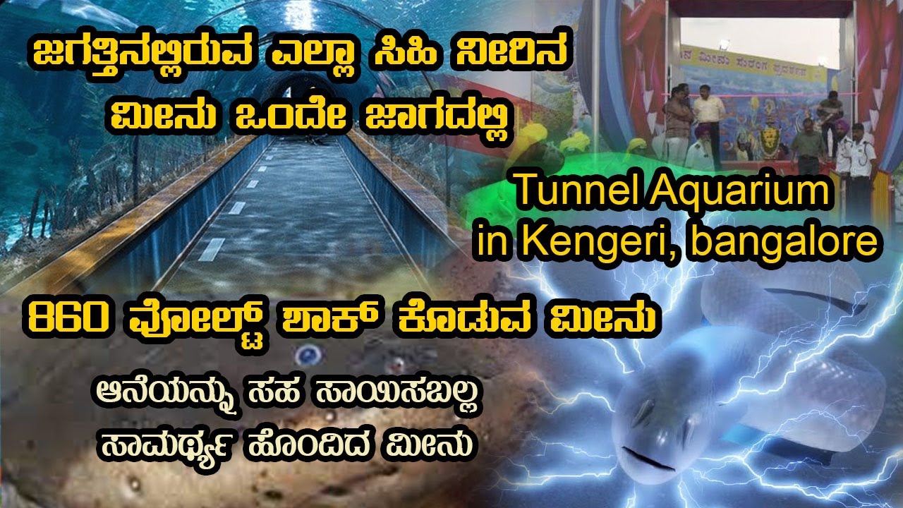 Tunnel Aquarium in Kengeri, Bangalore exhibition l we Found Dangerous