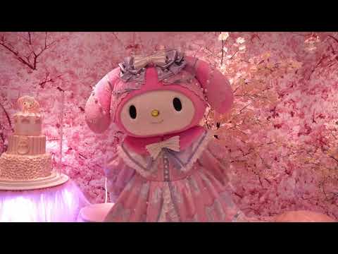 【4K】マイメロディとお花見グリーティング リボンコスチューム