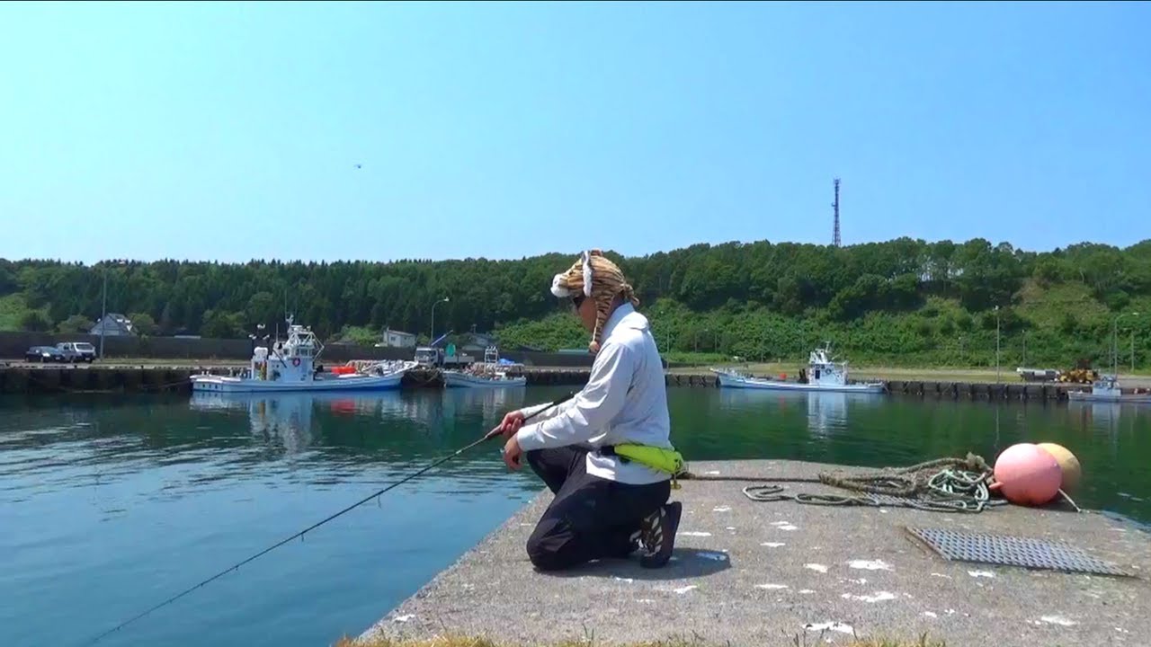 イカをエサにするとアタリ連発！堤防はお魚の宝庫