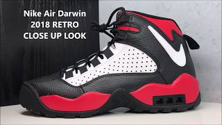 dennis rodman darwin shoes