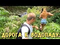 Доминикана Влог | Самая живописная дорога | Водопад Los Taino