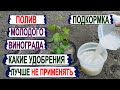 🍇 Как ПОЛИВАТЬ. Чем ПОДКОРМИТЬ молодой виноград в мае. От ЭТИХ УДОБРЕНИЙ на винограде только ВРЕД.