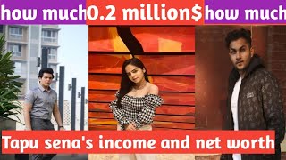 Tapu sena's income and net worth 2021||Tapu sena ki kul sampati 2021