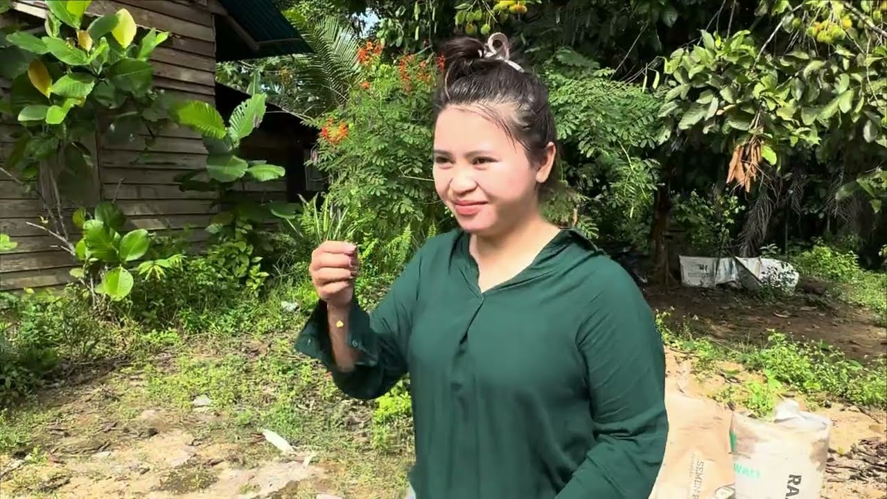 Getting to know the Bajare Dayak village with its beautiful girls