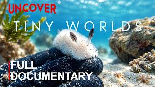 TINY WORLDS II | The Ocean’s Smallest Lives With the Biggest Roles | FULL DOCUMENTARY