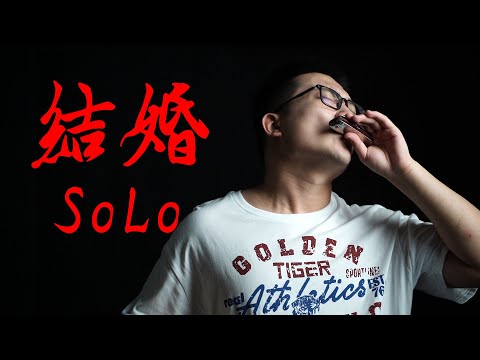 结婚-solo片段，Harmonica cover