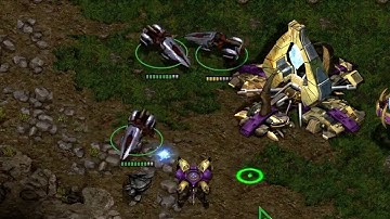 The WIDEST dragoon ever