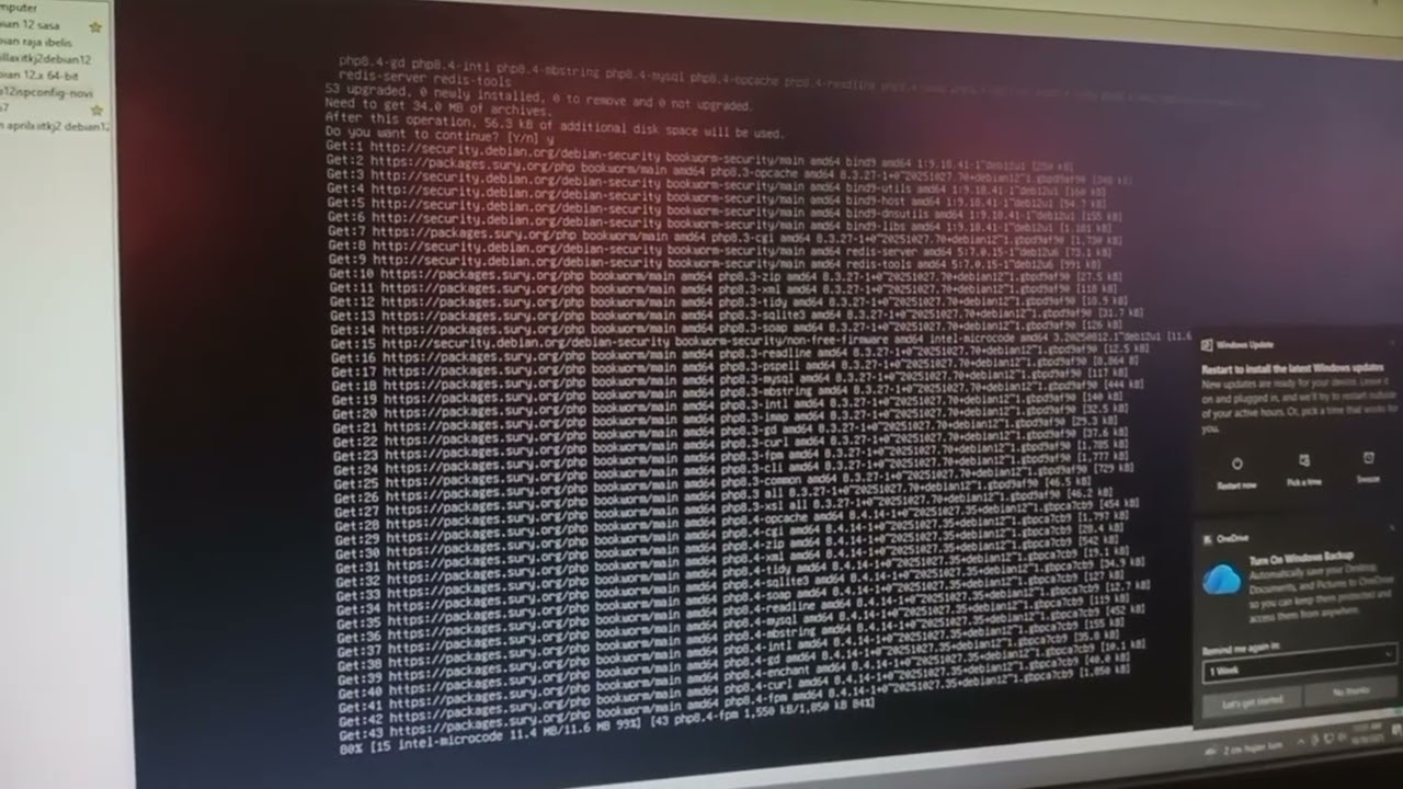 Tutorial Instalasi Netdata Menggunakan Debian 12
