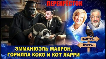 Rothschild & Co об IQ глав государств. Ларри-мышелов сбежал от Зеленского. Мерц судит избирателей.