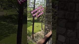 ##bansuri##Hideaway Resort##JimCorbett##jungle#hotel#room#vibes#live#music#fun#nature#naturelovers