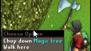 Loot from 10 hours of Magic Trees (Forestry update)