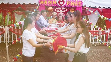 Flycam Rước Dâu Thuyền Hoa Miền Tây