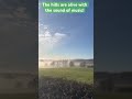 You've never seen countryside glow like this #nature #aesthetic #views