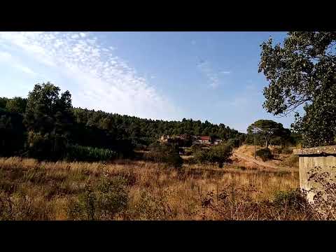 O caminho do campo