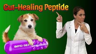 what benifits can bpc 157 peptide do for dogs BPC-157 The Gut Repair Peptide Your Pet May Benefit From