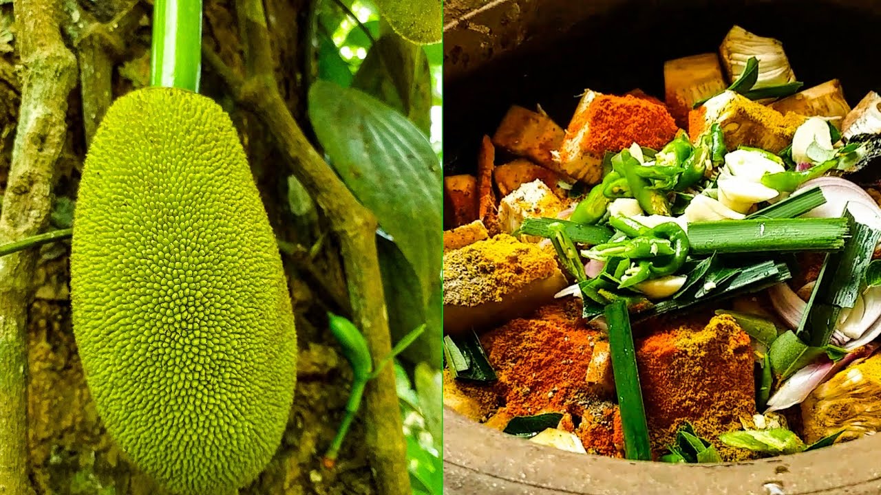 How To Make Green Jackfruit recipe මේක ද හරි ක්‍රමය බලන්න /ගමේ අම්මාගෙ