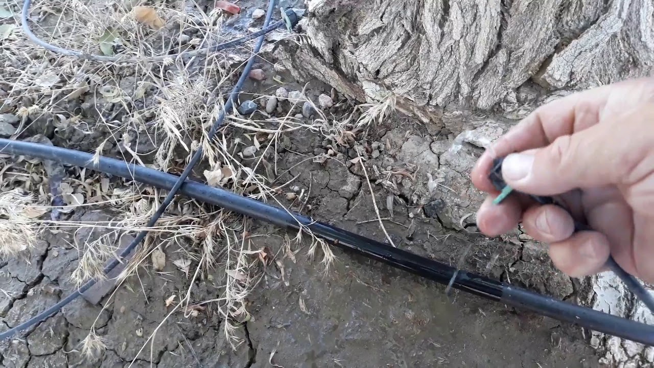Drip Irrigation YouTube