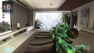 COD: Black Ops II - Raid Hitmarker & 540 Suicide (Private Match)