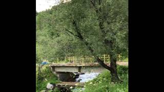 Mükemmel Doğa (Artvi̇n / Yusufeli̇)
