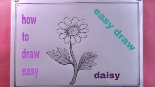 how to draw daisy easy/drawing daisy flower/daisy flower drawing
