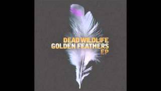 Tsk Tsk Dead Wildlife // Golden Feathers EP