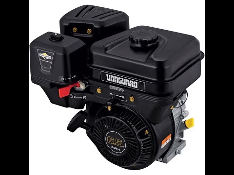 Video: Briggs ve Stratton yakıt hattını nasıl temizlersiniz?