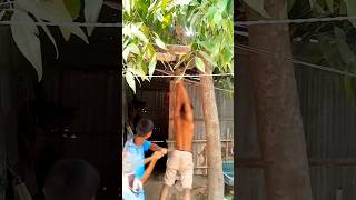 Bhikhari ne Basmati maang li 😂 | Funny Twist Video | Dark Comedy”