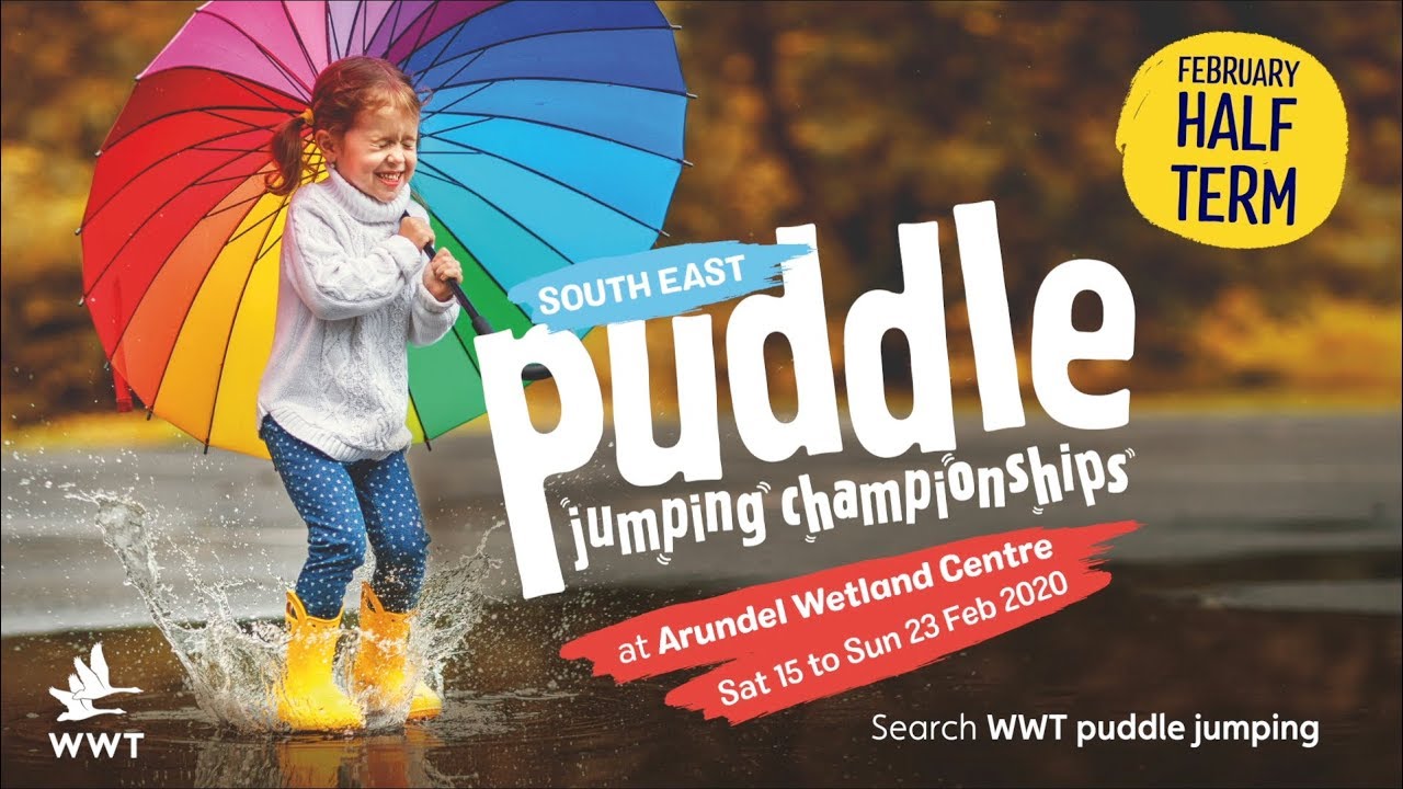 Puddle Jumping Championships South East | WWT Arundel - YouTube