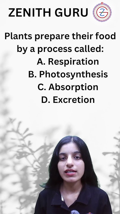 Plants Prepare Their Food By Which Process 1 Min Shorts 249 plants-prepare-their-food-by-which-process-1-min-shorts-249