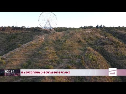 რა მოხდა მთაწმინდაზე | ვინ და რატომ მოკლა შანე ბრუკი და როგორ მუშაობს გამოძიება