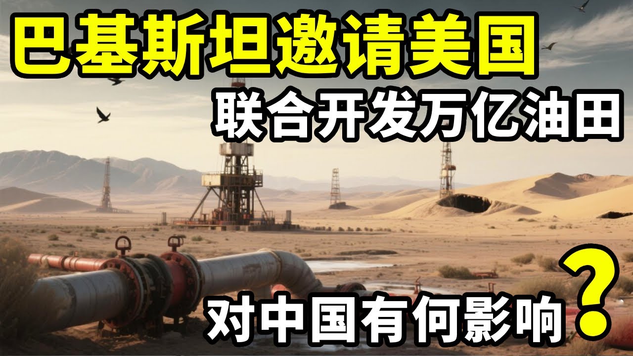 巴基斯坦邀请美国，联合开发万亿油田！中国或成最大买家？ #地理知识 #三维地理世界 #通过地图看世界 #巴基斯坦 #石油