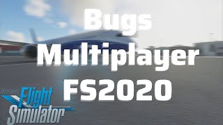 Bugs & Problems In the Multiplayer | Microsoft Flight Simulator 2020
